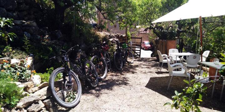 Puebla de Benifasar Hotel La Tinensa מראה חיצוני תמונה