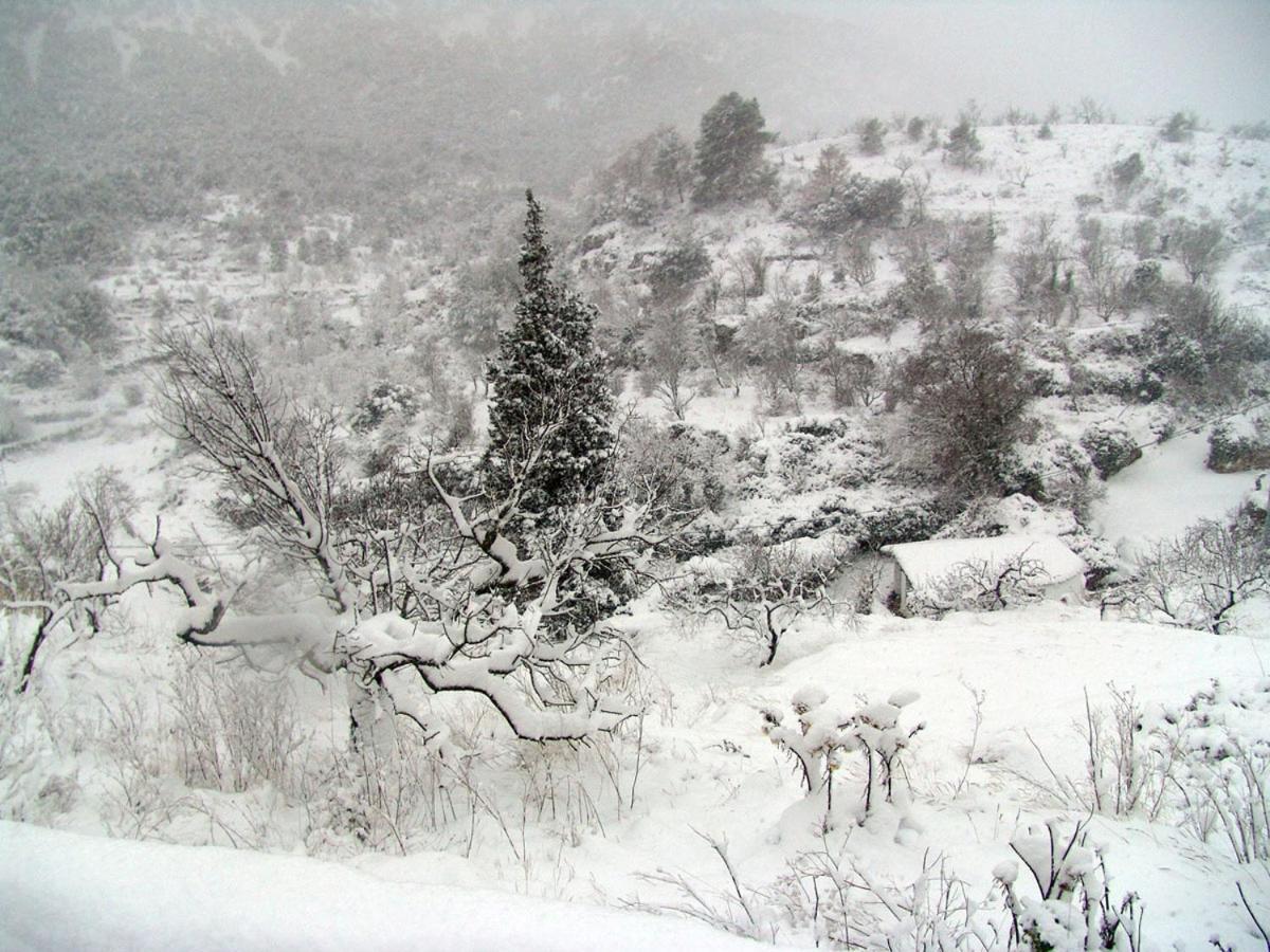 Puebla de Benifasar Hotel La Tinensa מראה חיצוני תמונה